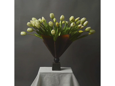 Buket 50 stilke Tulip Lover