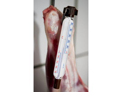 Termometer til kølerum ovalt 