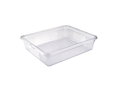 Kantine cristal 1/1 GN 20 cm